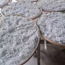 湘西永顺莓茶2022年新茶湘西莓茶永顺莓茶