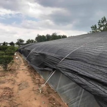 厂家，新料，羊肚菌用遮阳网，育苗防霜防，防寒