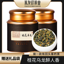 茶友们桂花乌龙茶浓香型桂花茶高山乌龙茶叶罐装500g