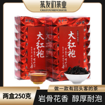 武夷山岩茶大红袍茶叶乌龙茶肉桂茶袋装浓香型大份量250克
