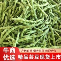 芸豆开坡肉豆大量有货，欢迎老板细聊产地发货