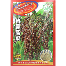 永红笤帚高粱种子黑壳抗袜抗旱抗碱穗大粒大易种植穗高粱种子
