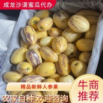 【推荐】人参果民勤沙漠人参果，皮薄瓤厚水分足，香甜可口！