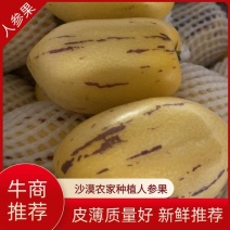 【好货推荐】沙漠人参果，皮薄瓤厚水分足，现摘现发！