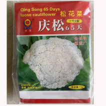 庆松65天花菜种子菜花苗子耐寒耐热大面积早熟