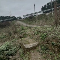 重庆巴南二圣镇10多亩的荒地可种菜，850一亩