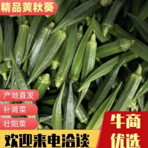 【力荐】精品黄秋葵一手货源对接电商直播全国走货等