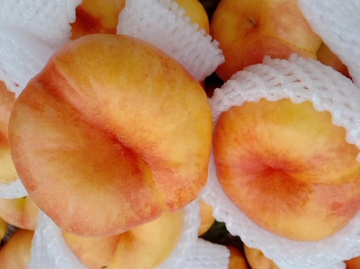 成熟的软蟠桃切开特写