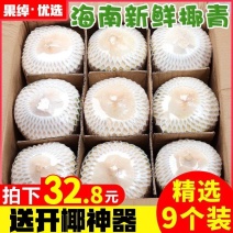 椰青海南特产椰子新鲜水果孕妇椰皇毛椰榨椰汁椰肉6/9大果