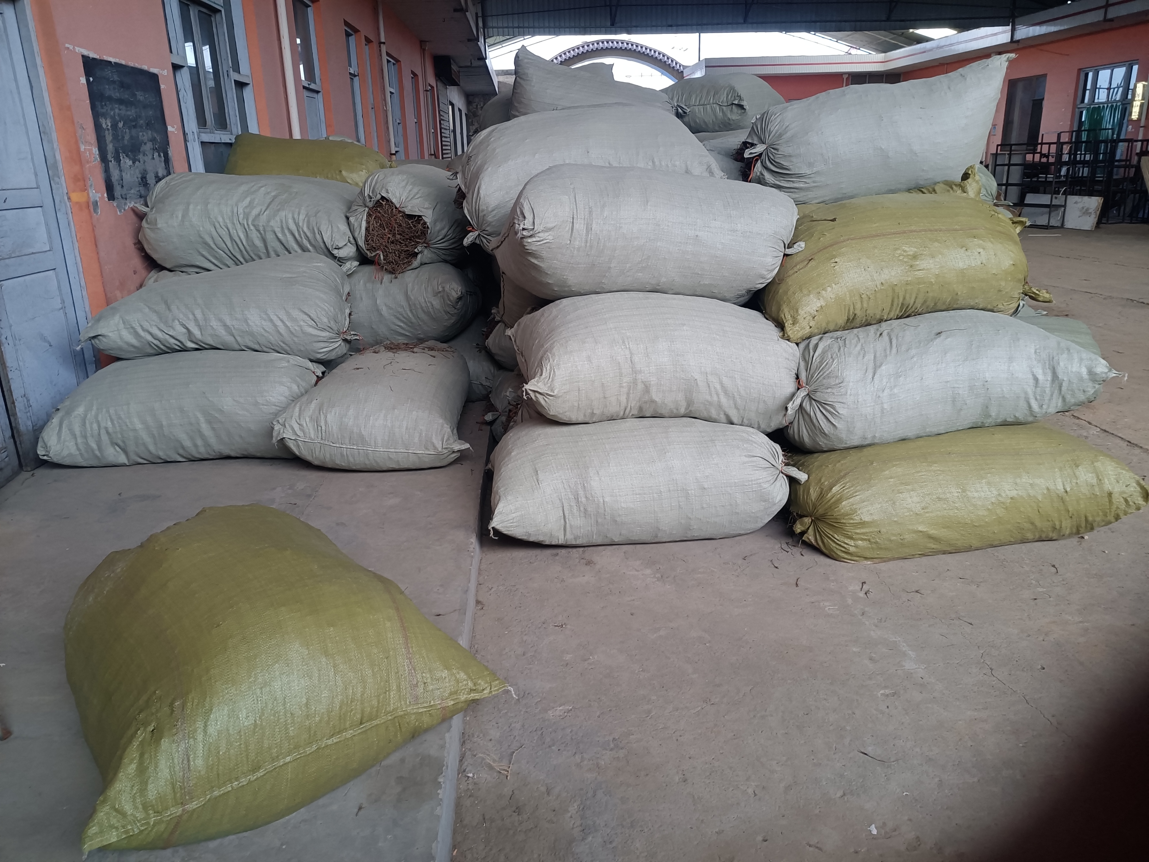 北柴胡药材市场交易场景