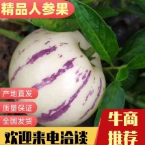 石林人参果自产自销批发，专业电商一件代