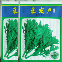 皇帝菜中叶茼蒿种子青菜种籽春菊菜种农家菜籽阳台籽种四季