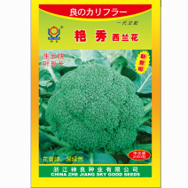 进口艳秀西兰花种子夏季超炎秀青花菜有机蔬菜种子早中熟耐抽