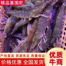 热卖基围虾冷冻鲜活大量供应一件代发四斤基围虾青虾诚招代理