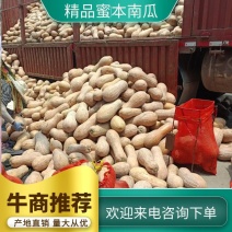 优质密本南瓜大量供应一手货源对接市场商超欢迎来电订购合作
