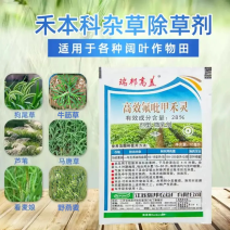 瑞邦高盖28%高效氟吡甲禾灵马铃薯防除芦苇狗尾草牛筋草