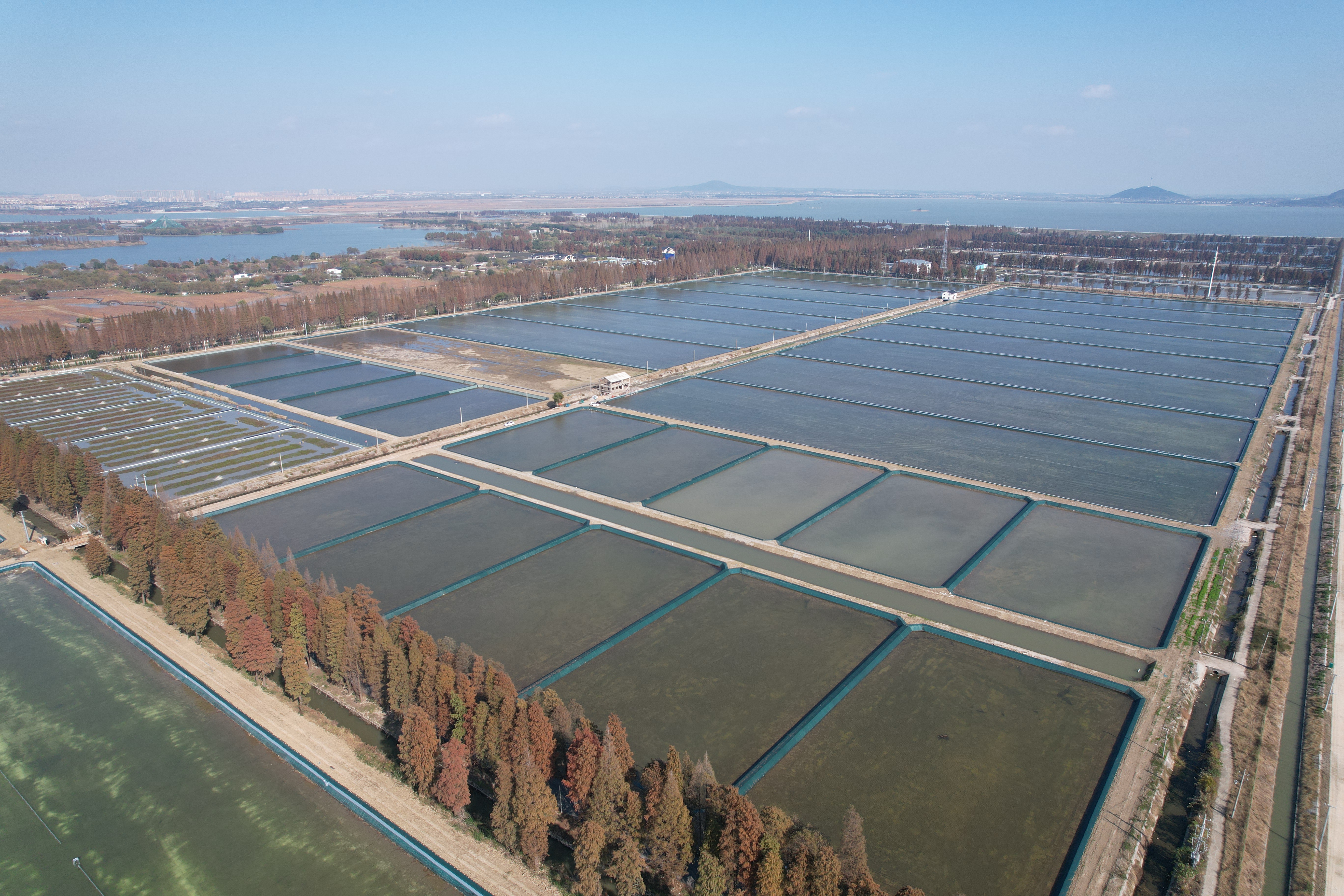 固城湖生态养殖示范区实景