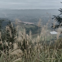 [荐]重庆巴南二圣镇中坪村3000亩荒地林地，