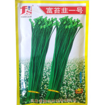 富生四季苔韭菜种子新育苔韭王韭苔种籽抽苔高产抗病大田用种