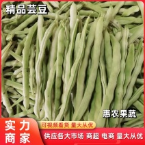 【芸豆】九粒白芸豆现摘现发量大从优坏烂包赔