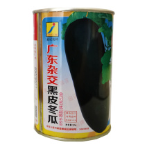 炮弹冬瓜种子广东黑皮冬瓜种籽特大巨型春秋杂交高产