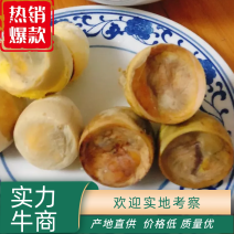 毛鸡蛋.半鸡半蛋.活珠子.照蛋.孵化厂直批，欢迎考查。