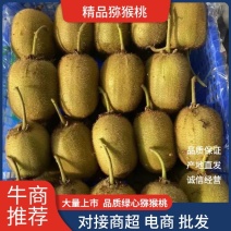 河南猕猴桃，华美，海华德，秦美绿心猕猴桃