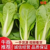 精品快菜一手货源视频看货品质保证以质论价
