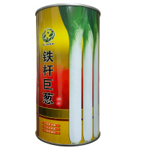 铁杆巨葱大葱种子山东章丘高白大葱种籽春夏