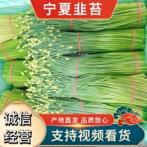 精品韭苔，宁夏韭苔，产地直发，一手货源，欢迎电联洽谈