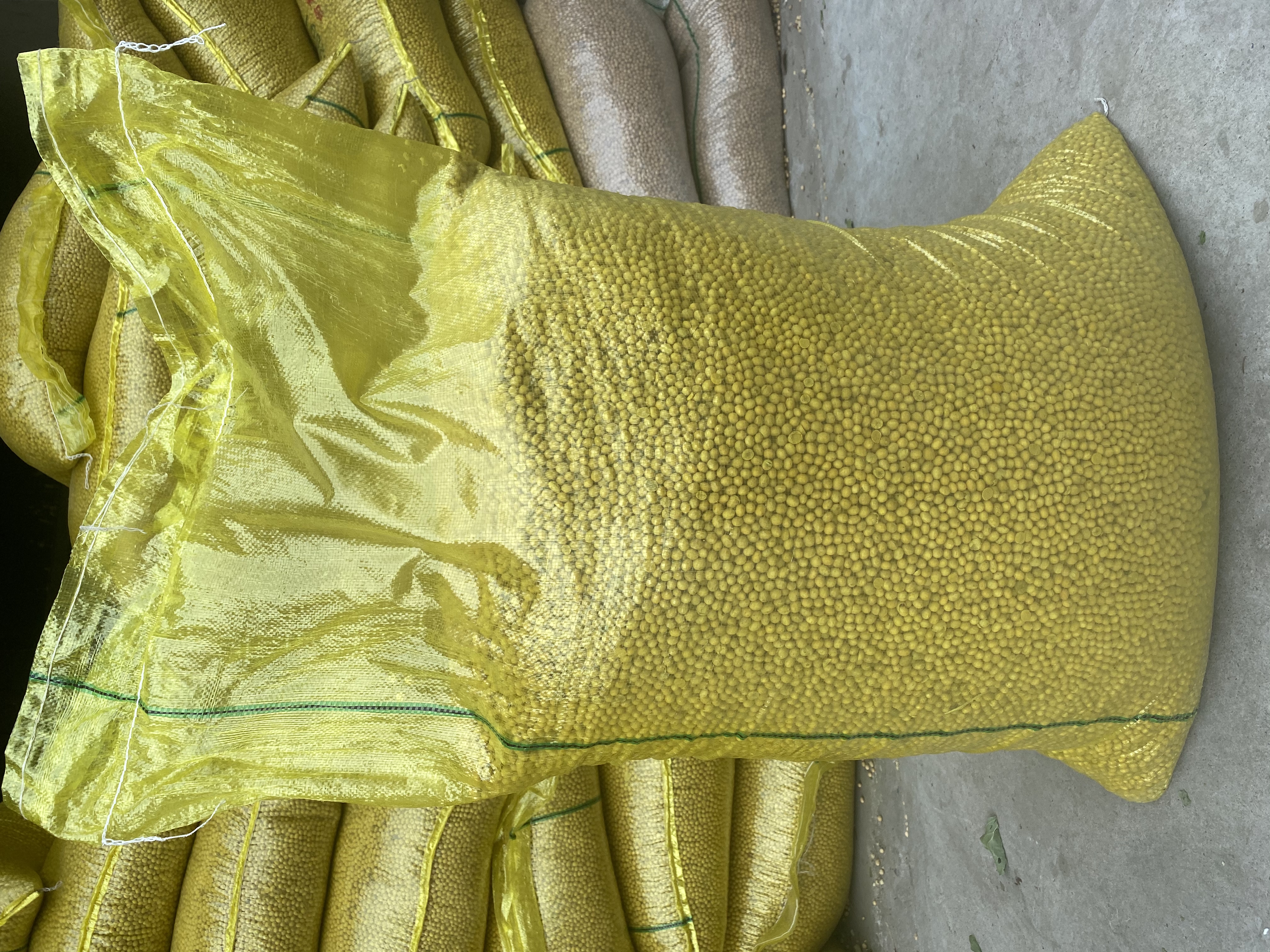 绿豆与大豆对比图