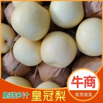 精品皇冠梨，口感脆甜多汁，诚信经营，货源稳定供应