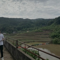 巴南区二圣镇8亩鱼塘加两栋民房，水源水山，道路直达