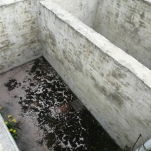 巴南区二圣镇一共7个鱼塘，水源充足，道路直达