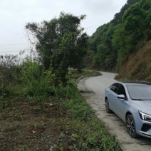巴南区70亩种植用地，可种植任何水果和林下种植
