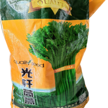 光杆茼蒿种子高产皇帝菜种孑高产秋冬小叶茼蒿菜种子大田种