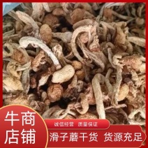 滑子蘑，滑子菇头茬干货，一手货源，质量好，价格优电联