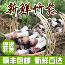 [荐]竹荪