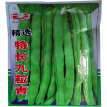 特长九粒青芸豆种子早熟高产荚长四季高端菜豆不老芸豆种籽春