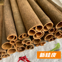 新桂皮广西桂皮产地桂皮大料干货香辛料调料炖煮卤菜香料