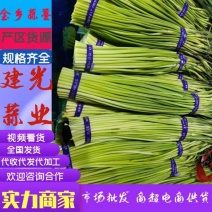 金乡蒜苔红帽蒜苔冷库代发代加工货源充足