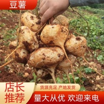四川凉山冕宁黄泥地瓜（凉薯）脆甜可口，柔嫩多汁