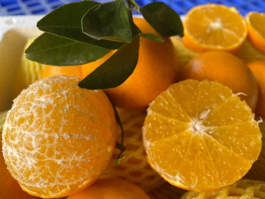 皇帝柑营养成分信息图