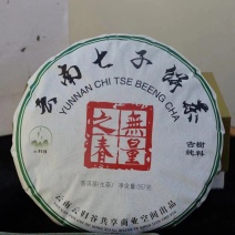 云南古树普洱生茶加工厂批发量大从优（昆明五华区妙海茶厂