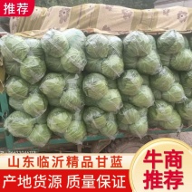 山东临沂精品甘蓝，基地发货，诚信经营，保质保量，价格美丽