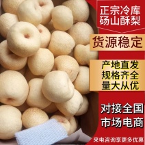 砀山万亩酥梨基地，代发全国各地保证质量诚信经营！
