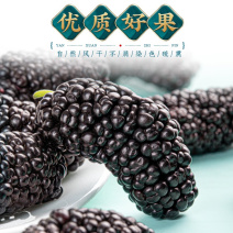 桑葚干新疆桑葚果桑葚子即食正宗黑桑葚干免洗泡水食用无沙桑