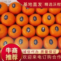 沃柑，广西桂林沃柑已经上市，颜色个头都好。需要的赶紧联系