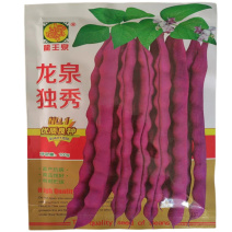 龙泉独秀紫芸豆种子100g大紫袍九粒红芸豆角种子秋紫豆