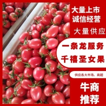 千禧圣女果：果感佳，颜色靓丽，果形美观耐运输。